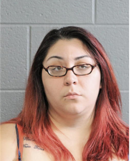 KARINA M LEDEZMA, Cook County, Illinois