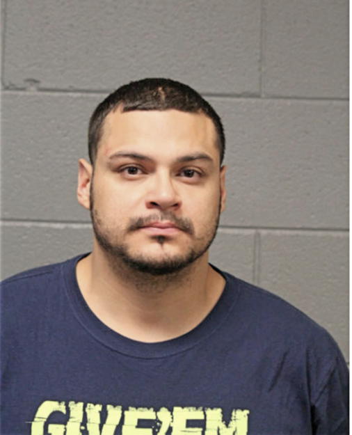 MICHAEL R LOVERING, Cook County, Illinois