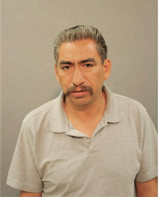 CELERINO MENDOZA, Cook County, Illinois
