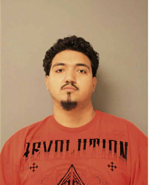 MIGUEL ANGEL NAVA, Cook County, Illinois