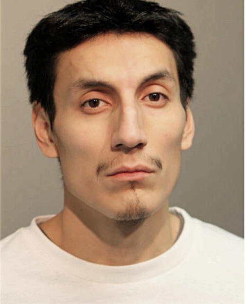 KLEBER P PAREDES, Cook County, Illinois