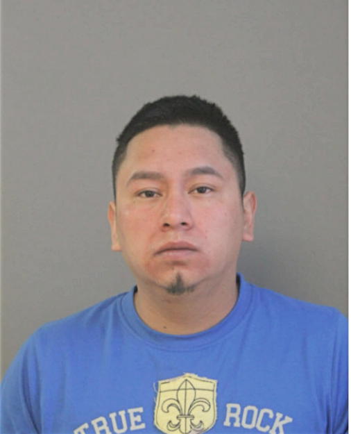 RICARDO PEREZ-LEON, Cook County, Illinois