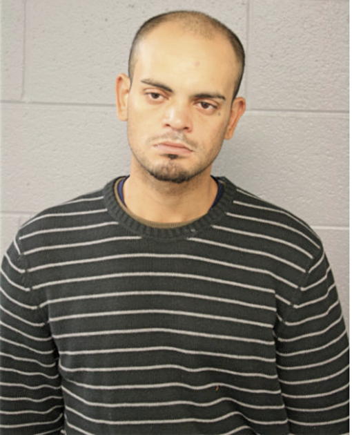 JONATHHAN ROCHE, Cook County, Illinois