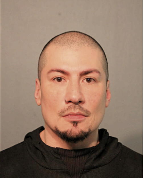 VINCENT P ROSALES, Cook County, Illinois