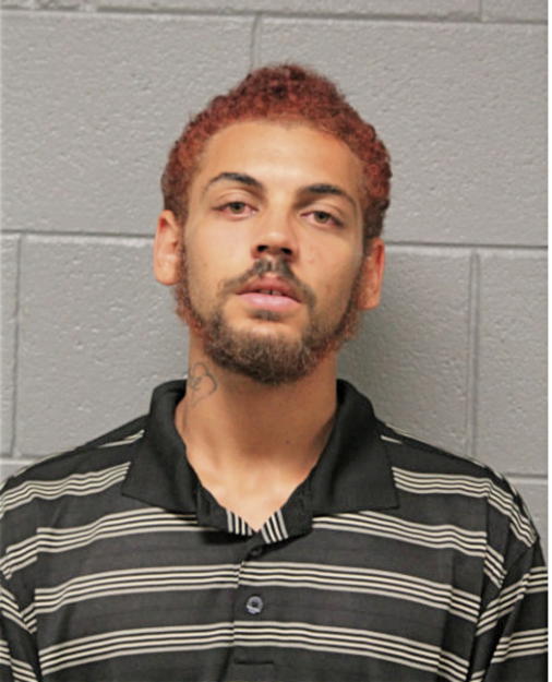 ISRAEL REHEEM STEELE, Cook County, Illinois