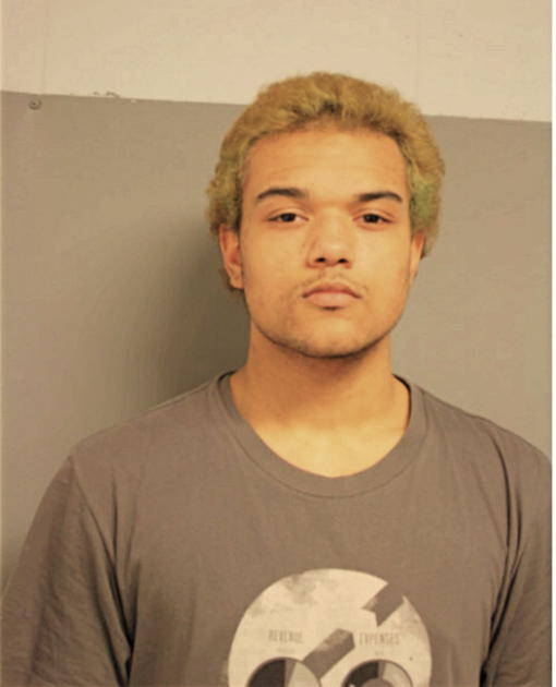 VINCENT R THOMAS, Cook County, Illinois