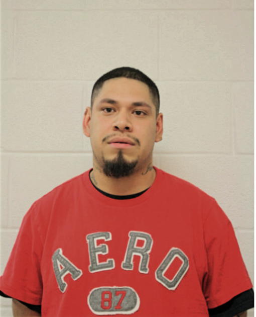 ERIC TORRES, Cook County, Illinois
