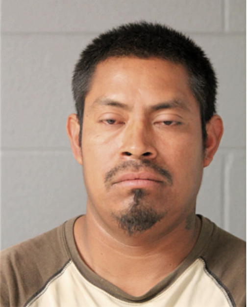 MARCELINO TZOY, Cook County, Illinois
