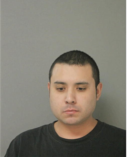 JULIAN A UNDDA, Cook County, Illinois