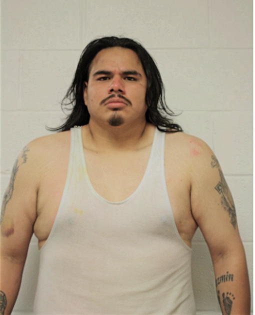 ADDINSON R VARELA, Cook County, Illinois