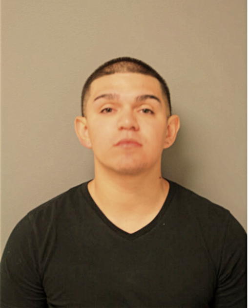 JUSTIN S VARGAS, Cook County, Illinois