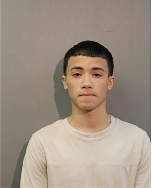 JAPHET ANDRE VASQUEZ, Cook County, Illinois
