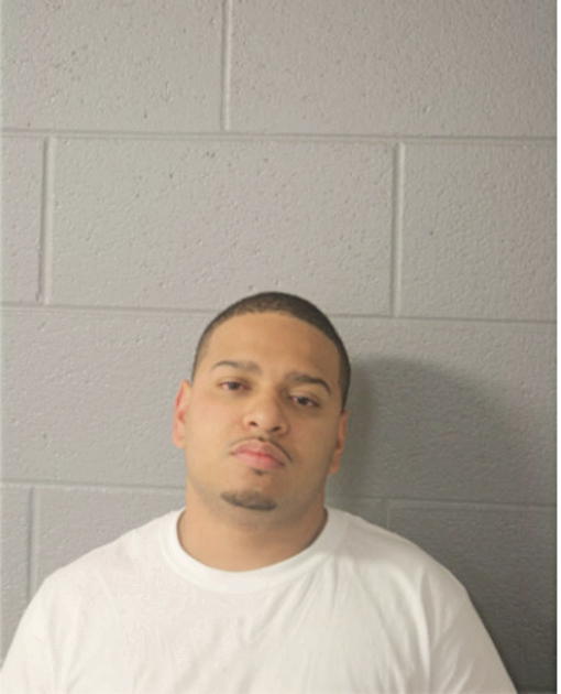 ANTHONY J VISINAIZ, Cook County, Illinois