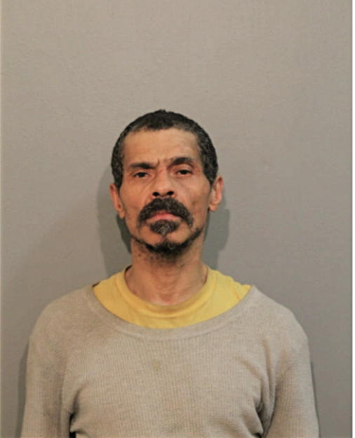 JAMES E WISEMAN, Cook County, Illinois