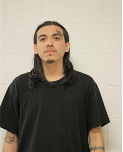 FRANCISCO ACEVEDO, Cook County, Illinois
