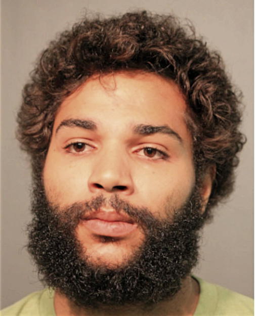 GRANT V BRAY, Cook County, Illinois