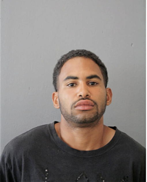 DAMIEN A BRYAN, Cook County, Illinois