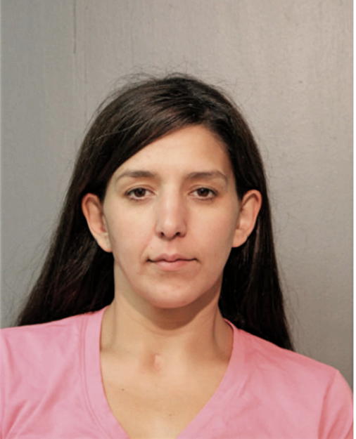 BETHANY DIXON, Cook County, Illinois