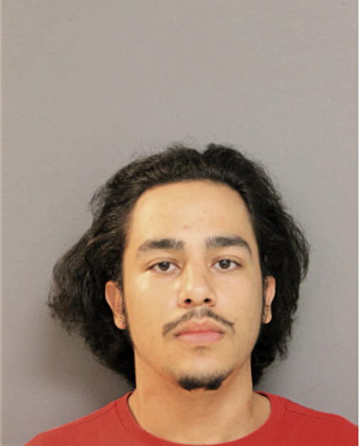 ANGEL L FELICIANO, Cook County, Illinois