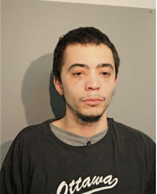 LEONARDO FERNANDEZ, Cook County, Illinois