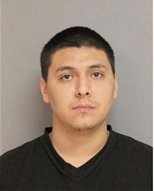 CARLOS A FIGUEROA, Cook County, Illinois