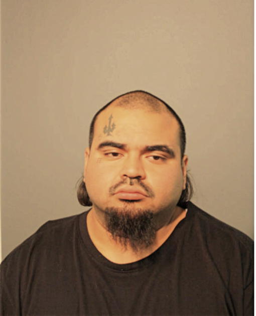 LUIS J GARCIA, Cook County, Illinois