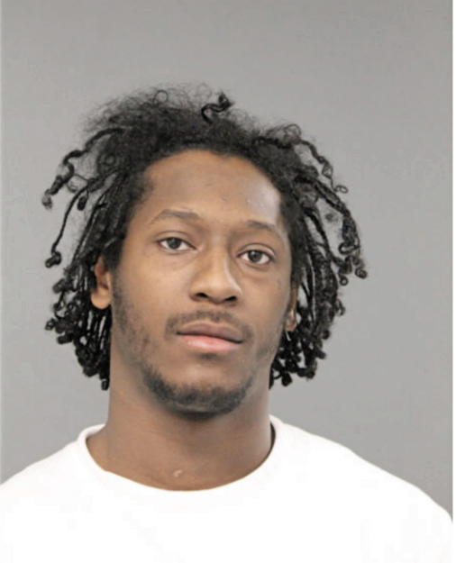 DESHON A GEORGE, Cook County, Illinois