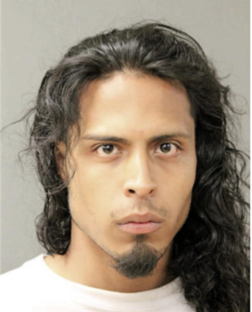 JAVIER GONZALEZ, Cook County, Illinois