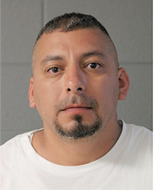 JUAN A GUZMAN, Cook County, Illinois