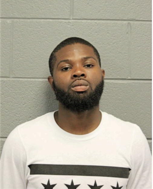 TERRANCE L HOLLINS, Cook County, Illinois