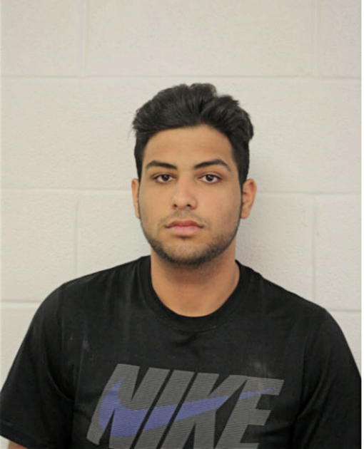SONNY J WANKO, Cook County, Illinois