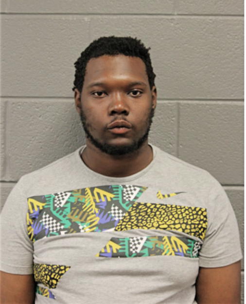 NICOLAS JOHNSON, Cook County, Illinois