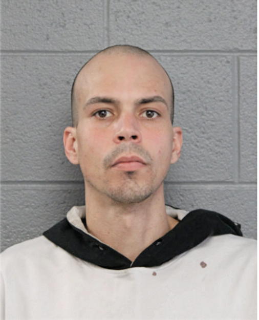 JOELVY MENDOZA, Cook County, Illinois