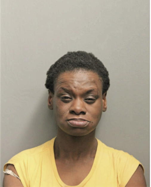 MELYNE NAILER, Cook County, Illinois