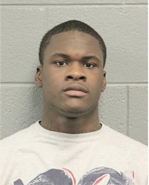 AHMAD T NELLEM, Cook County, Illinois