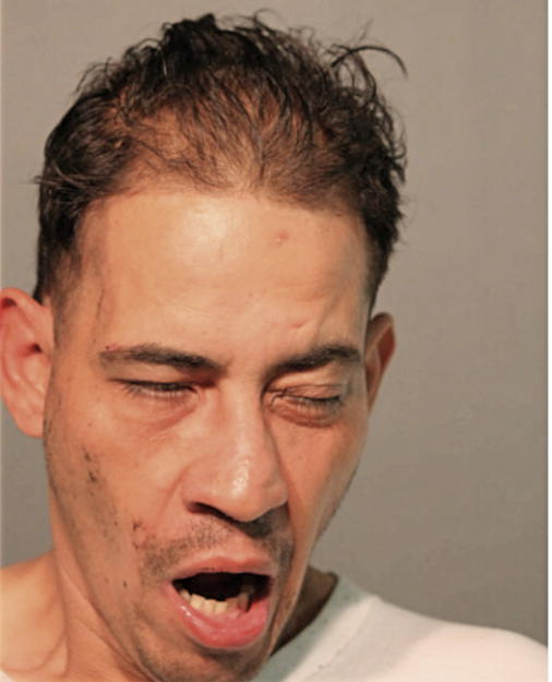 JOSE A NIEVES, Cook County, Illinois
