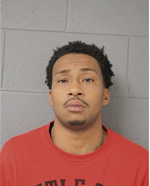 ERIC V POWELL, Cook County, Illinois