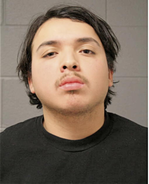MARTELL R RAMIREZ, Cook County, Illinois