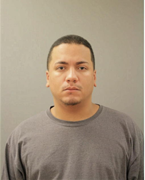 RAY L RIVERA, Cook County, Illinois