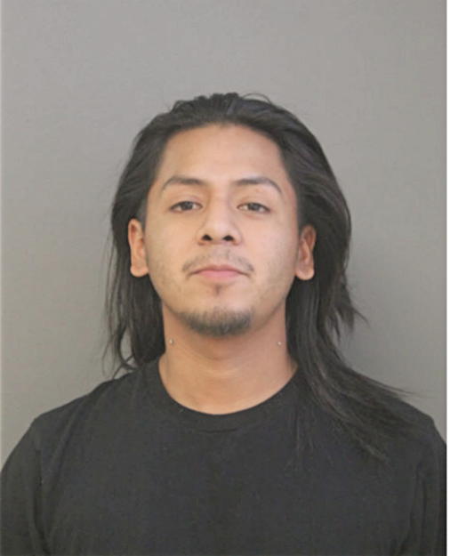 JOSUE I SALES, Cook County, Illinois