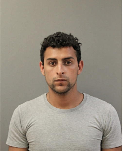 ALEJANDRO VENEGAS SANCHEZ, Cook County, Illinois