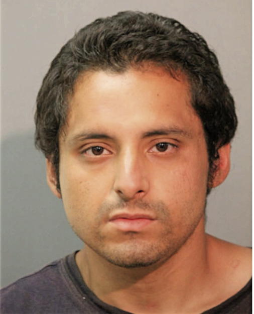 FRANCISCO VEGA, Cook County, Illinois