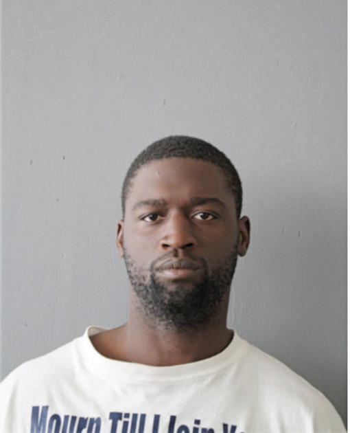 ROBERT P AMERSON, Cook County, Illinois