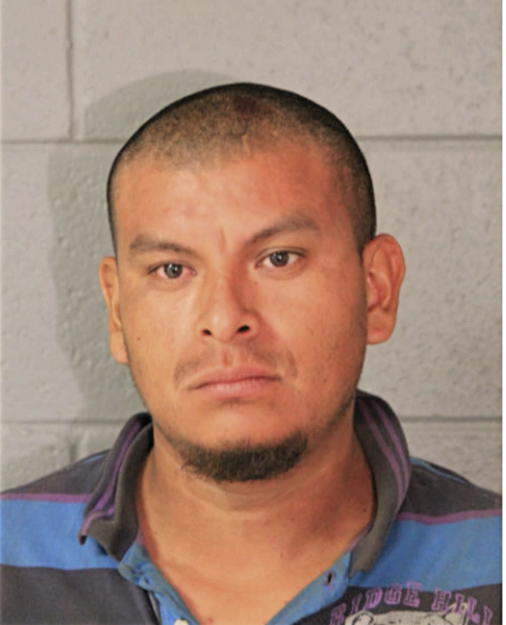 RODRIGO ARTEAGA, Cook County, Illinois