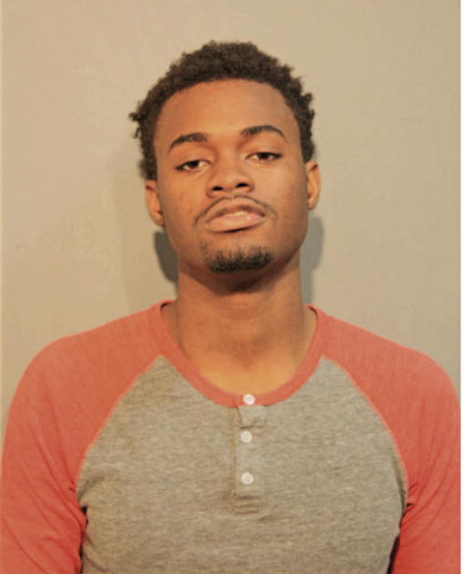 DERRICK L AUSTIN, Cook County, Illinois