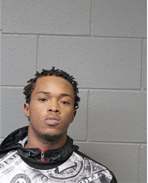 CHRISTOPHER K BROWN, Cook County, Illinois