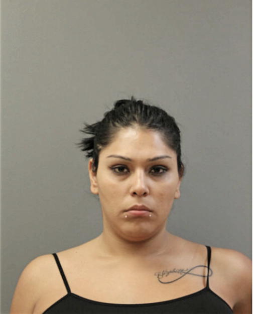 ALAN CASTILLO-SANCHEZ, Cook County, Illinois