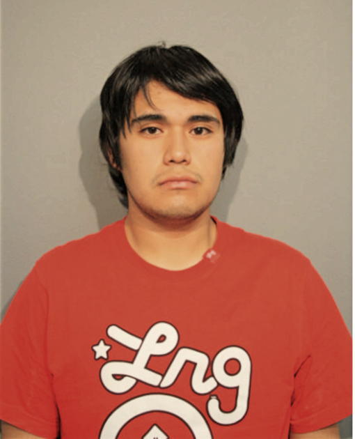 ERICK F CRUZ, Cook County, Illinois