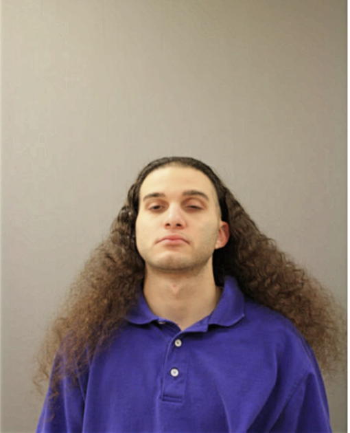 ANDRE R FERMAINTT, Cook County, Illinois
