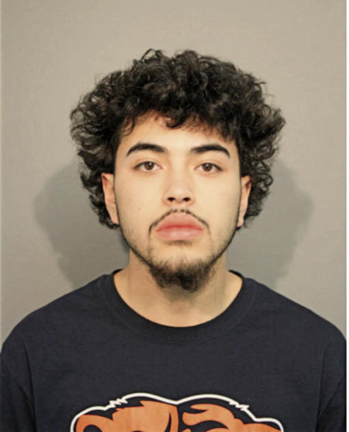 DEVIN P FLECHA, Cook County, Illinois
